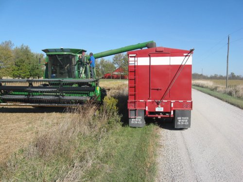 Property photo 49 - 110+/- Acres offered in 4 Tillable Tracts